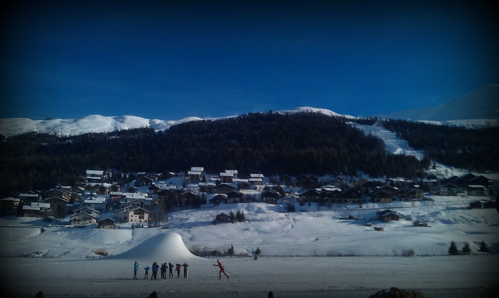 IMAG0950
